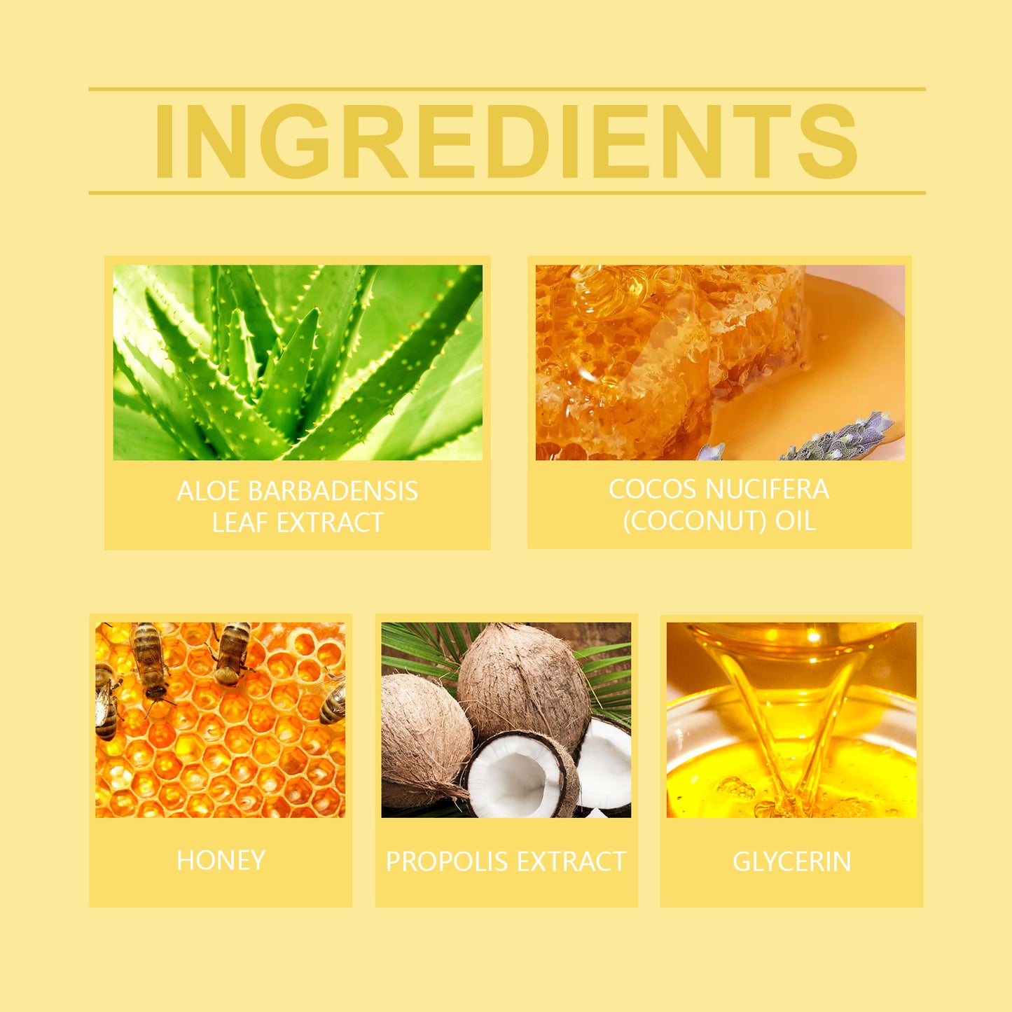 Honey Nourishing Lip Balm for Dry Chapped Lips - Deep Moisturizing Formula