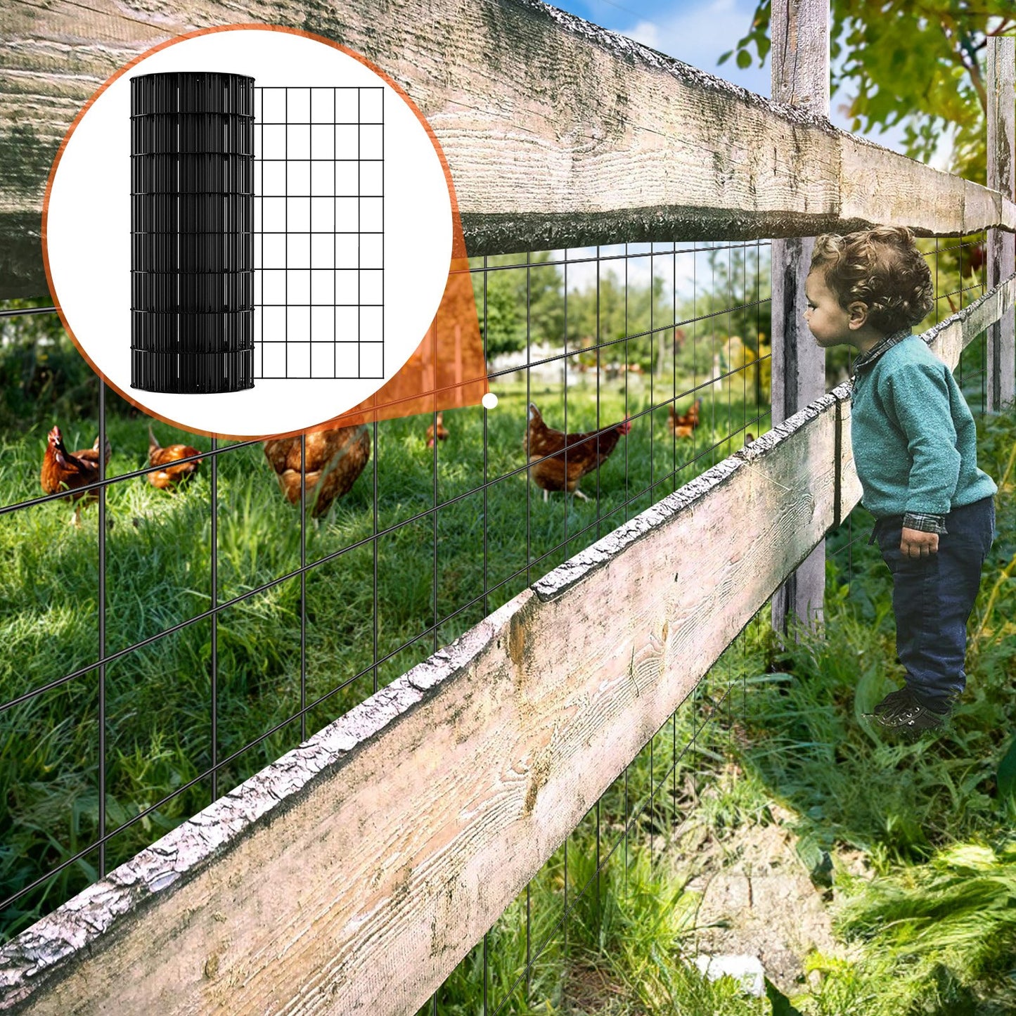 Galvanized Wire Mesh Roll 24x50ft Chicken Fence | Heavy Duty Poultry Enclosure