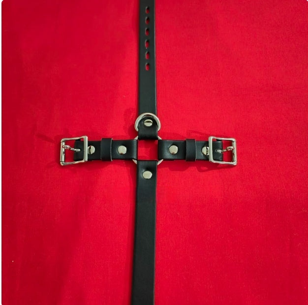 Inflatable Horse Harness Gag with Leather Ball Binding Training Toy