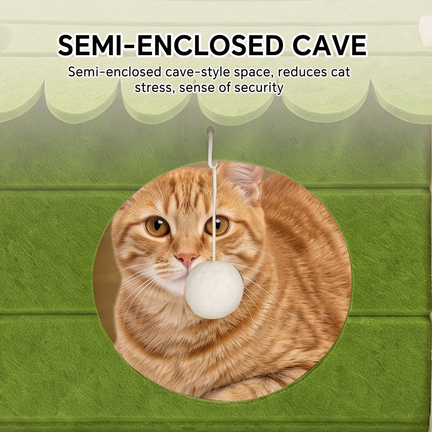 Green Cat House Pet Shelter with Self Pickup Option