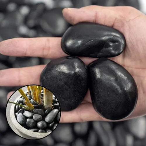 38lbs Black Polished River Rocks - Natural Decorative Stones