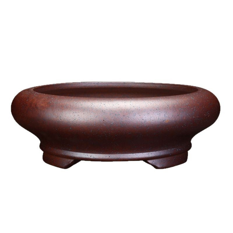 Indoor Decorative Porcelain Plant Pot with Purple Sand for Home & Office