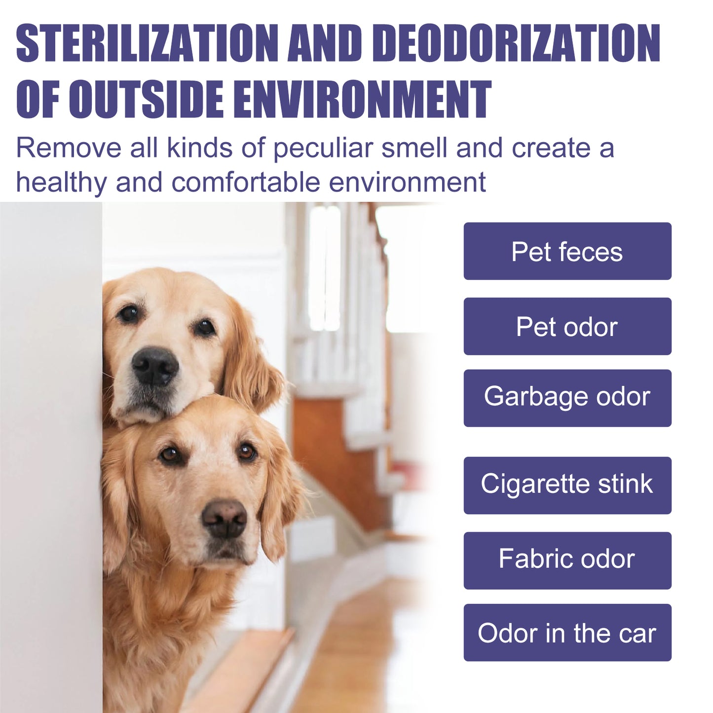 Pet Odor Eliminator Spray with Aloe & Portulaca - Non-Toxic Deodorizer for Dogs, 60ml