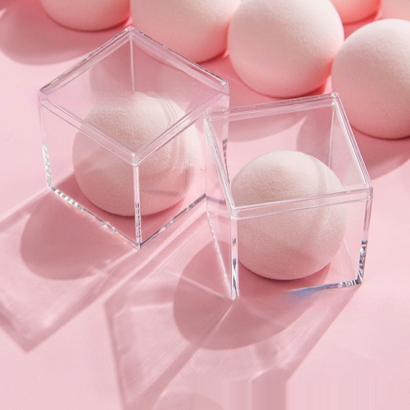 Hydrophilic Cosmetic Egg Set - Makeup Sponge Blender for Face & Skin