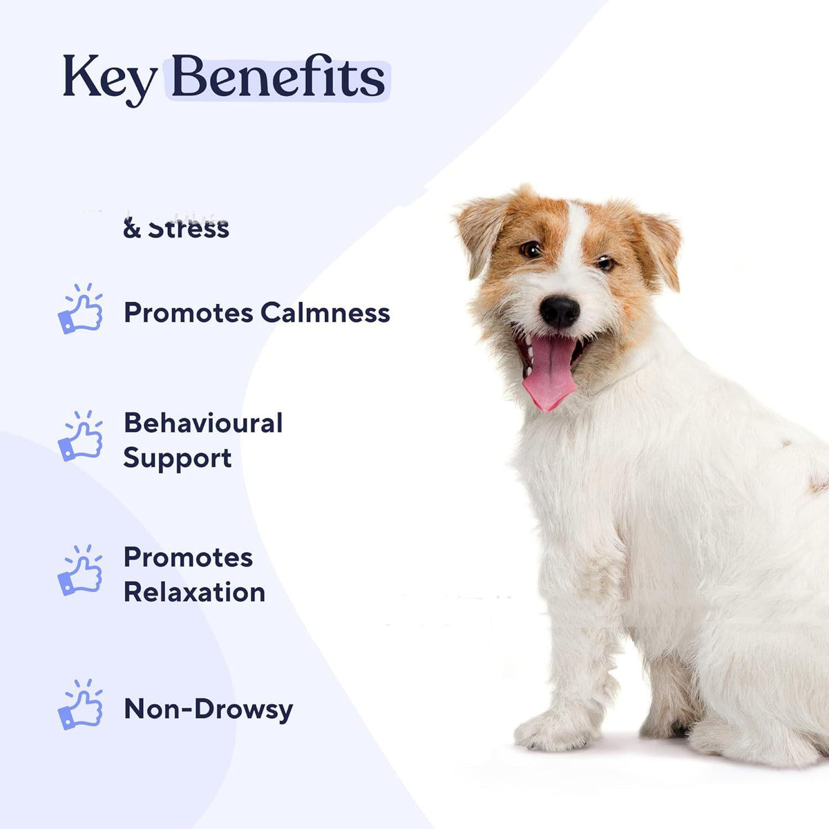 Pet Calming Chewable Tablets Stress Relief