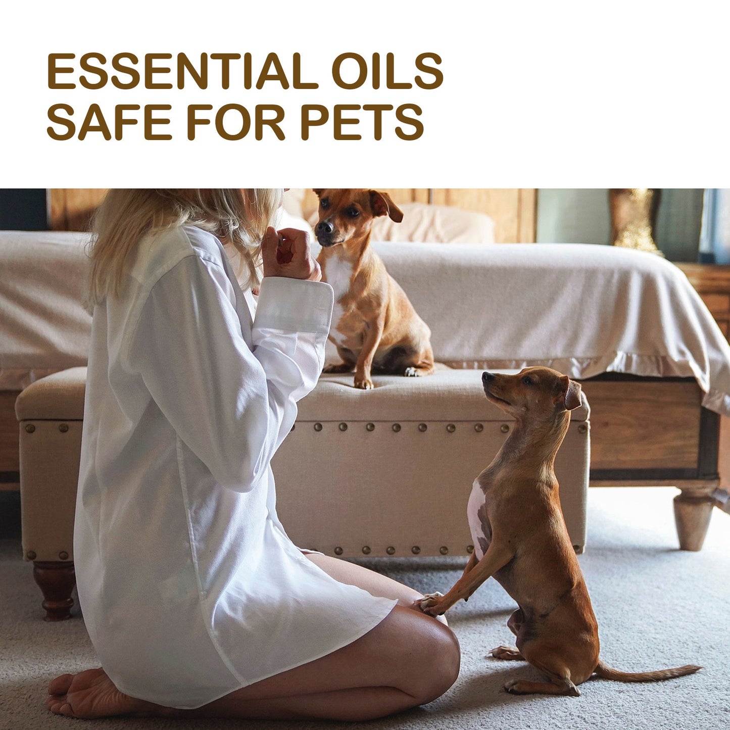 Dog Joint & Muscle Relief Oil with Lemon Balm & Omega Fatty Acids - Support Mobility