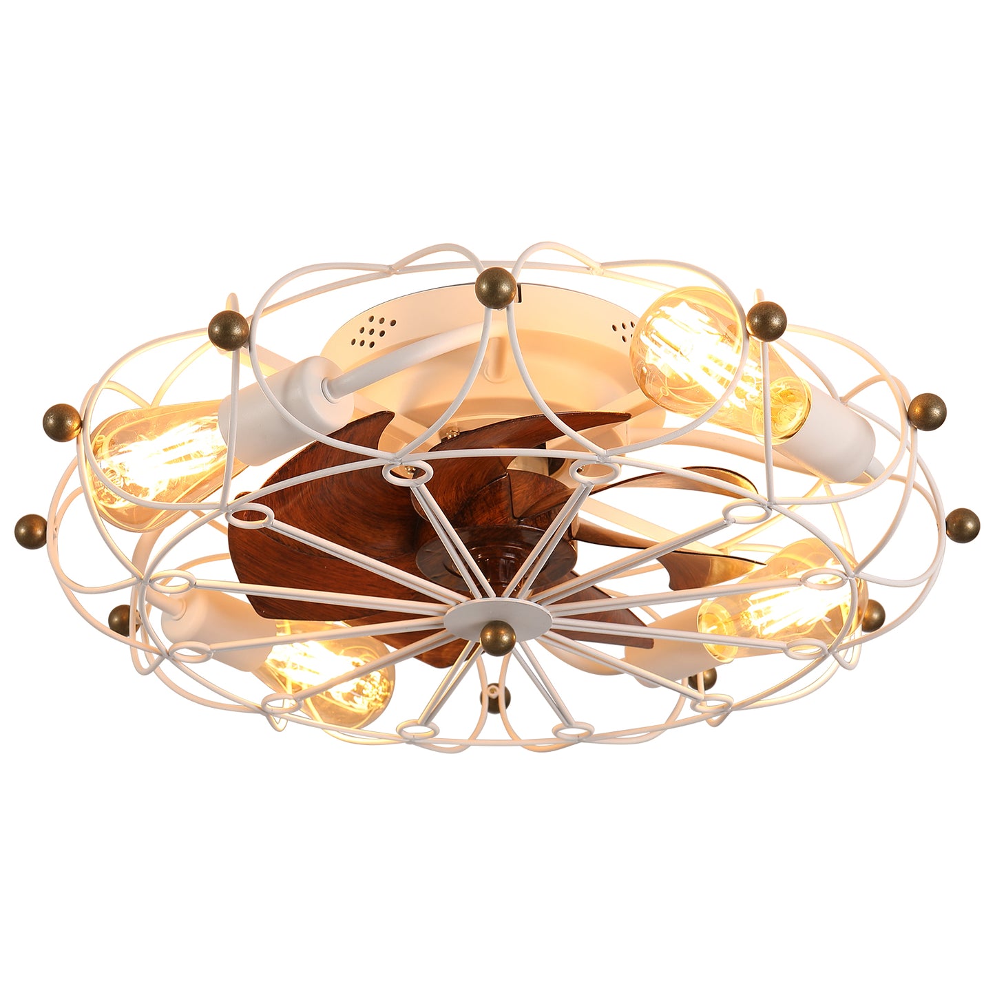 Modern Caged Ceiling Fan with Lights and Remote Control