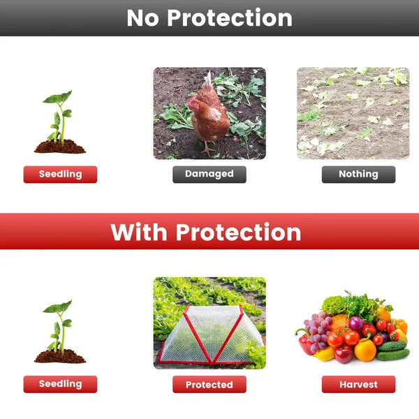 Garden Row Accelerator Plant Covers - 4 Pack for Frost Protection