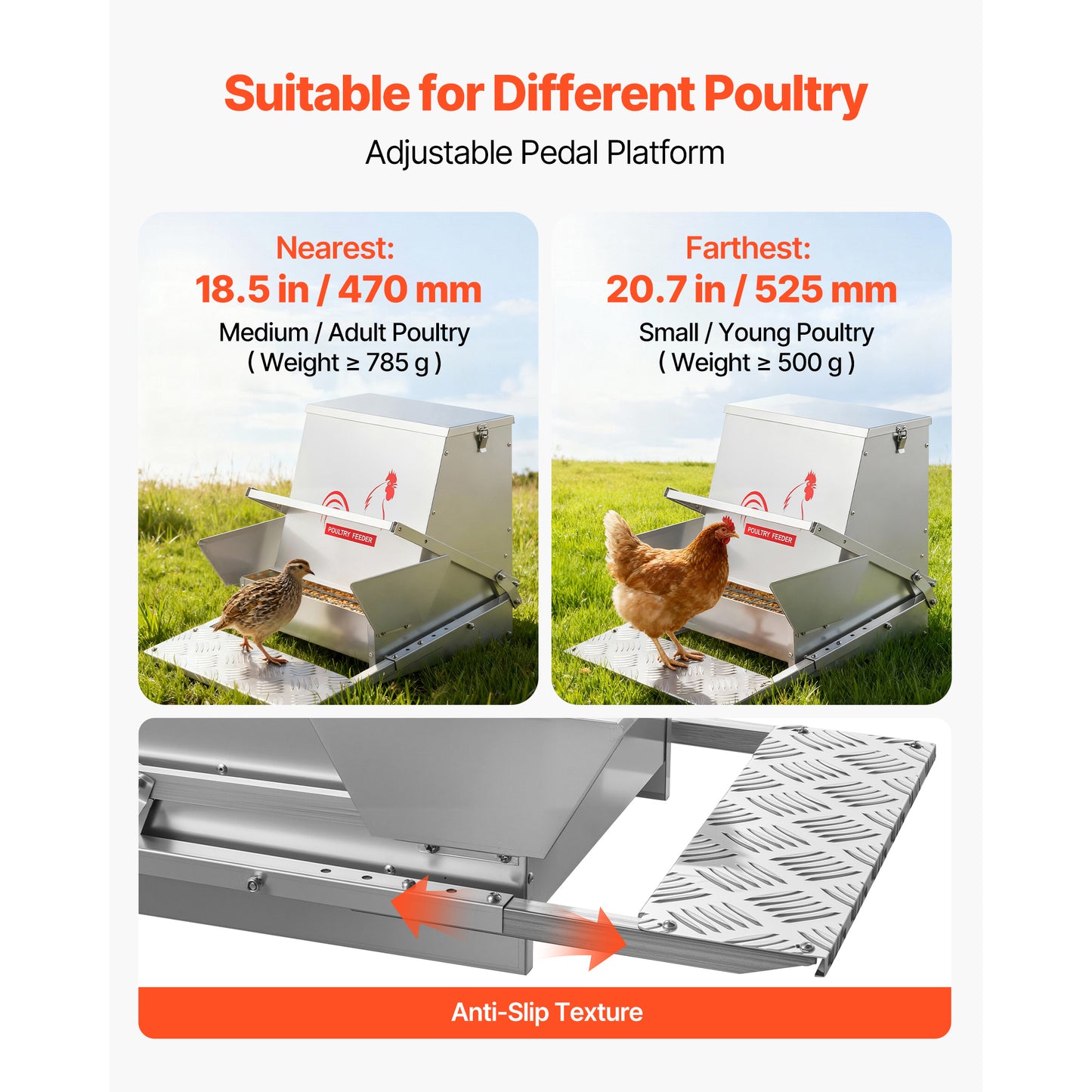 40L Rainproof Poultry Feeder with Lockable Lid - Galvanized Steel, No Waste