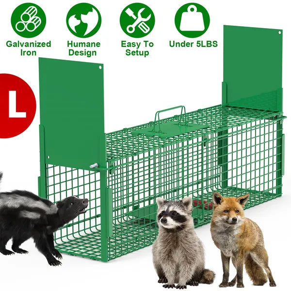 Humane Live Animal Cage Trap for Raccoons, Opossums & More