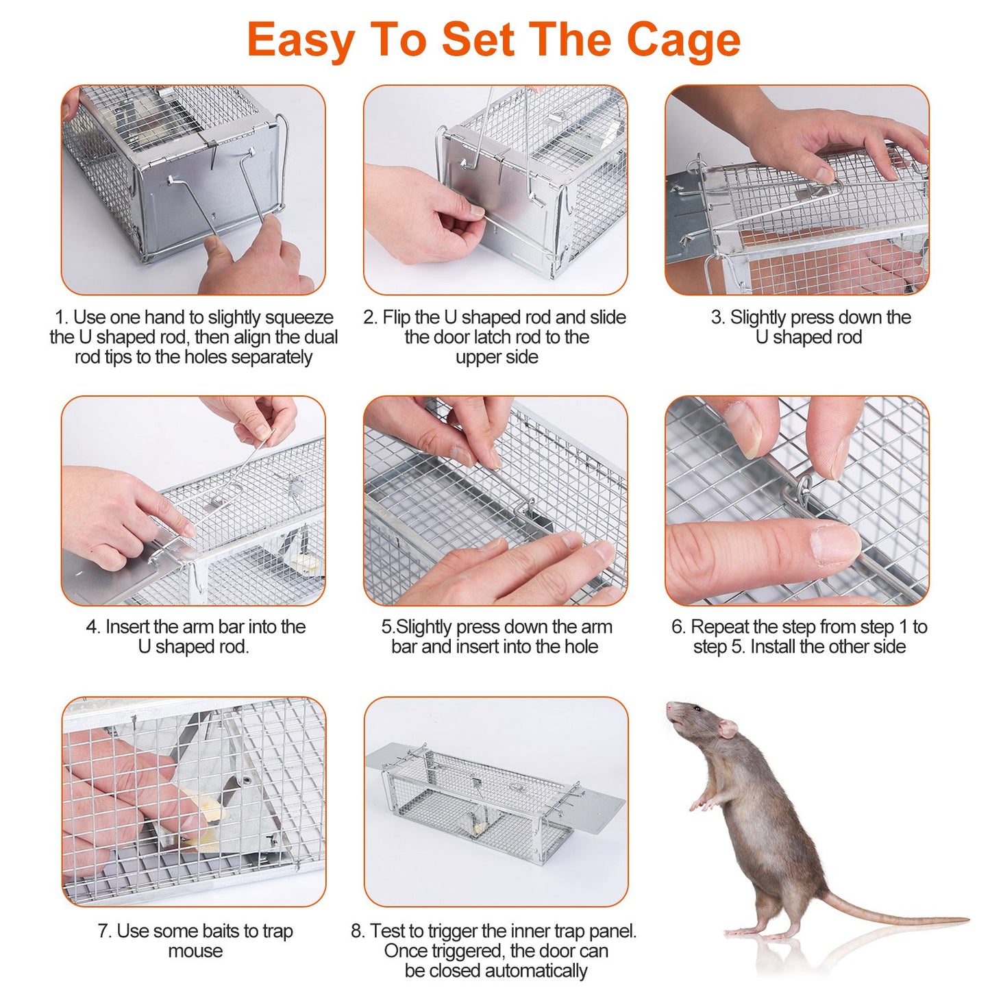 Humane Dual Door Rat Trap Cage - Zinc Electroplating, 14x11cm