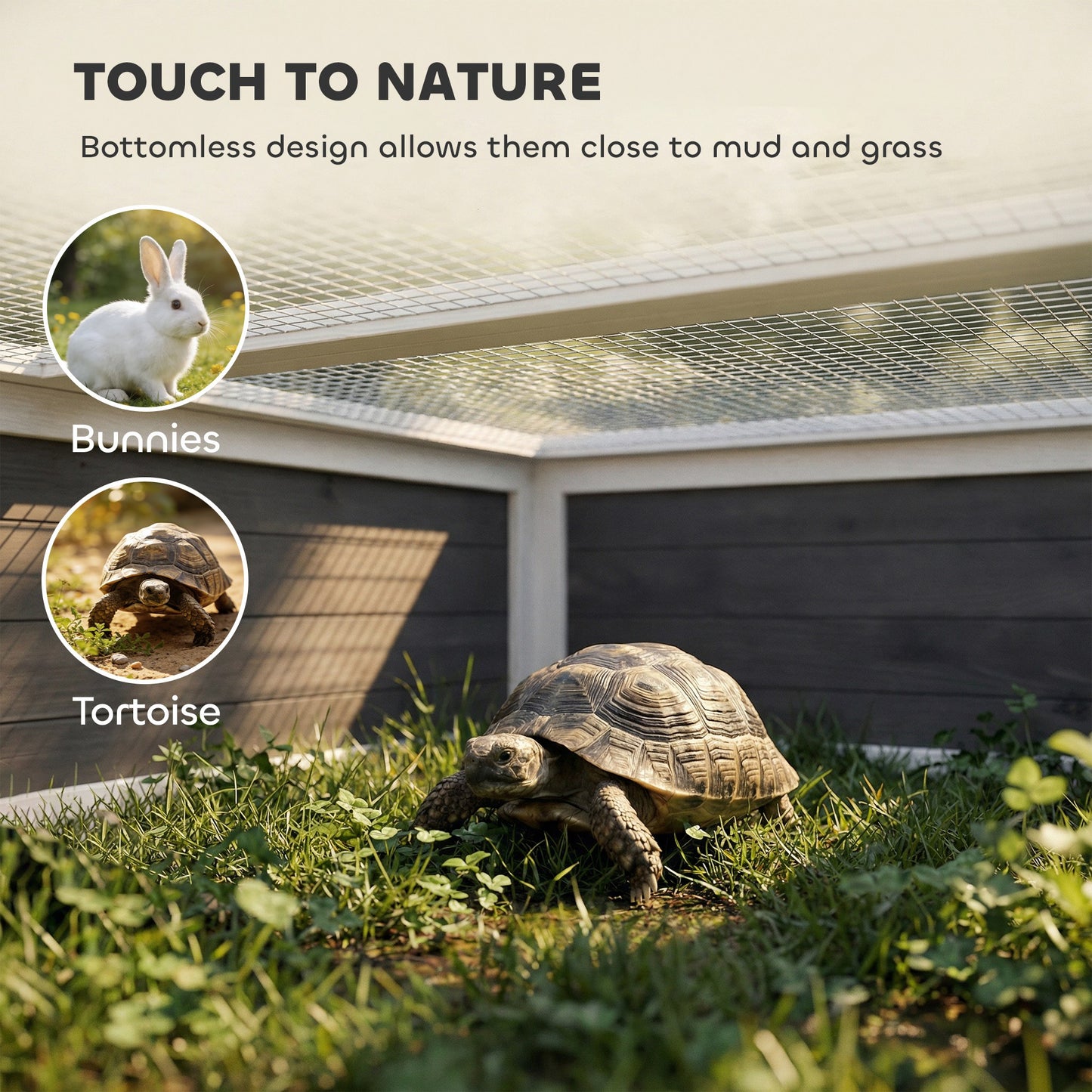 Wooden Tortoise Habitat Enclosure with Openable Top and Clear Window, Dark Gray