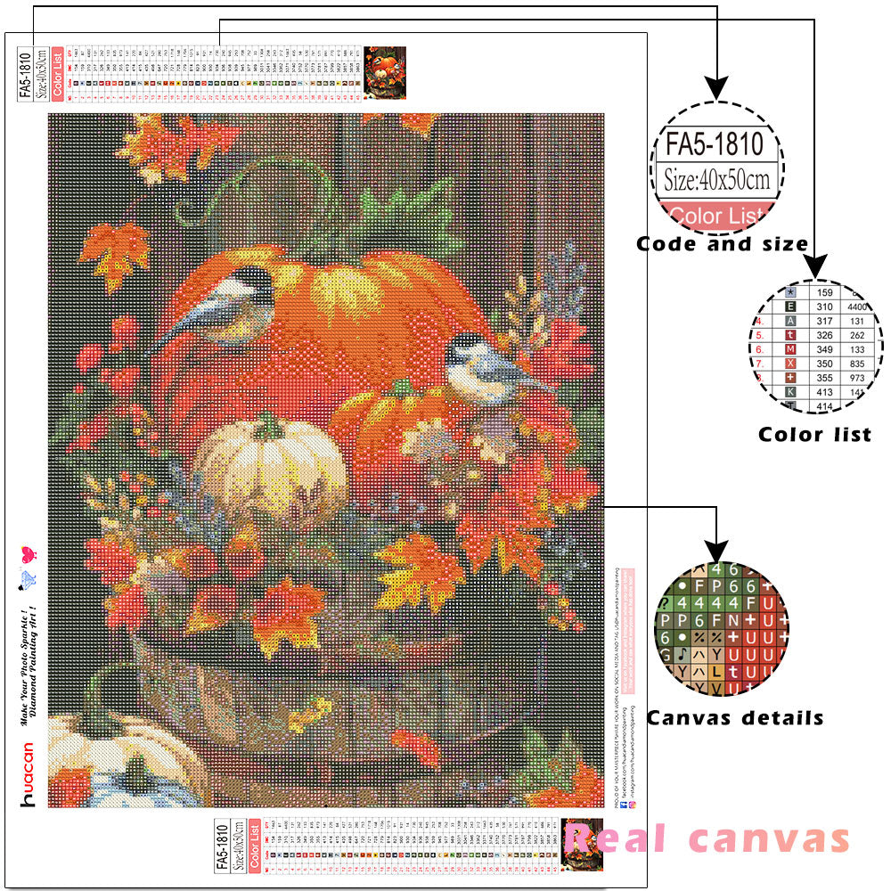 Square Diamond Painting Kit Bird Embroidery Home Decor 20x30cm-45x60cm