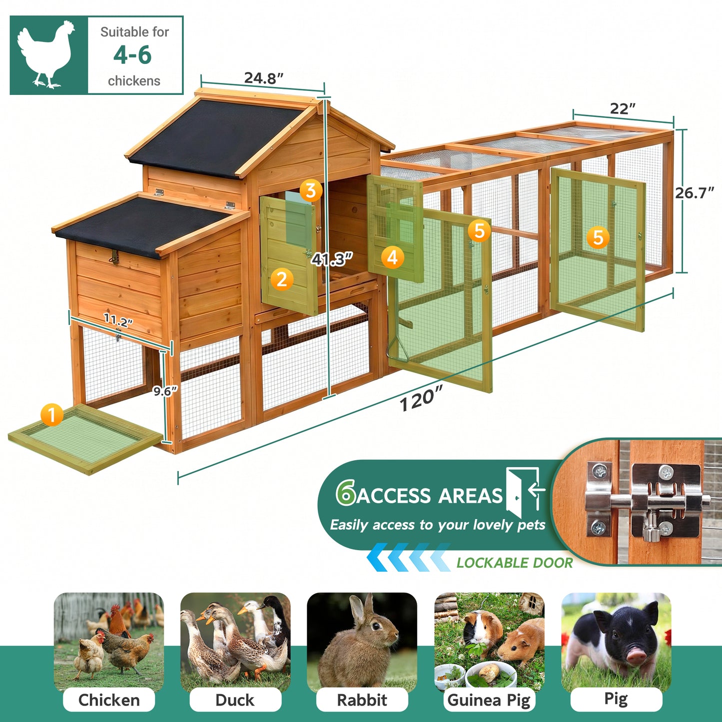 Large Outdoor Chicken Coop with Run & Nest Box for 4-6 Chickens - Orange