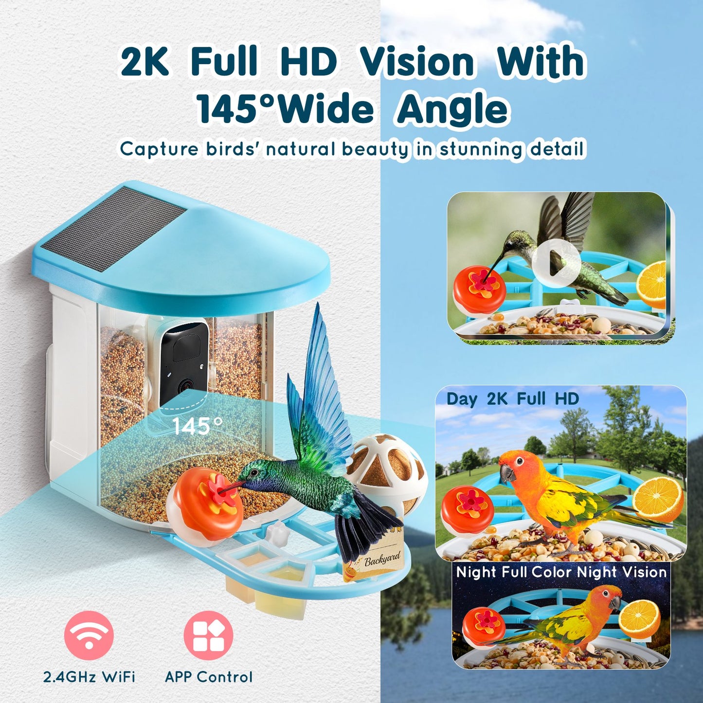 Smart Bird Feeder with Camera AI Identification 10,000+ Bird Species Solar Powered