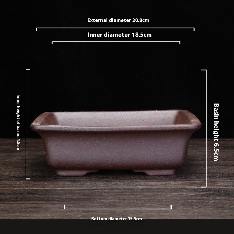 Indoor Decorative Porcelain Plant Pot with Purple Sand for Home & Office