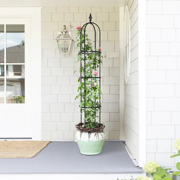 6.2ft Garden Obelisk Trellis for Climbing Plants, Vines & Flowers - Black