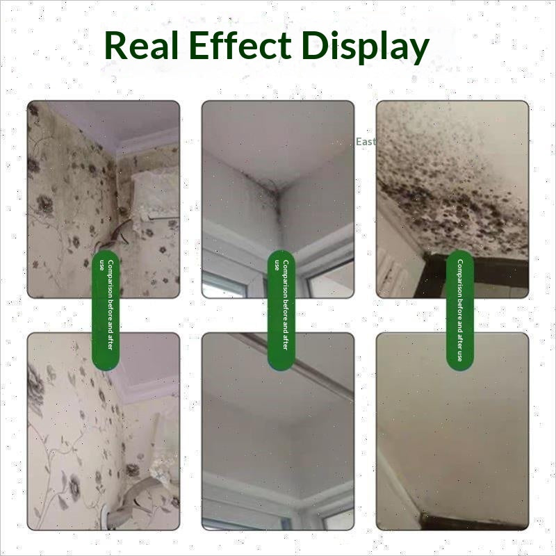 Mold Removal & Prevention Spray 500ml for Walls & Tiles - Household Use