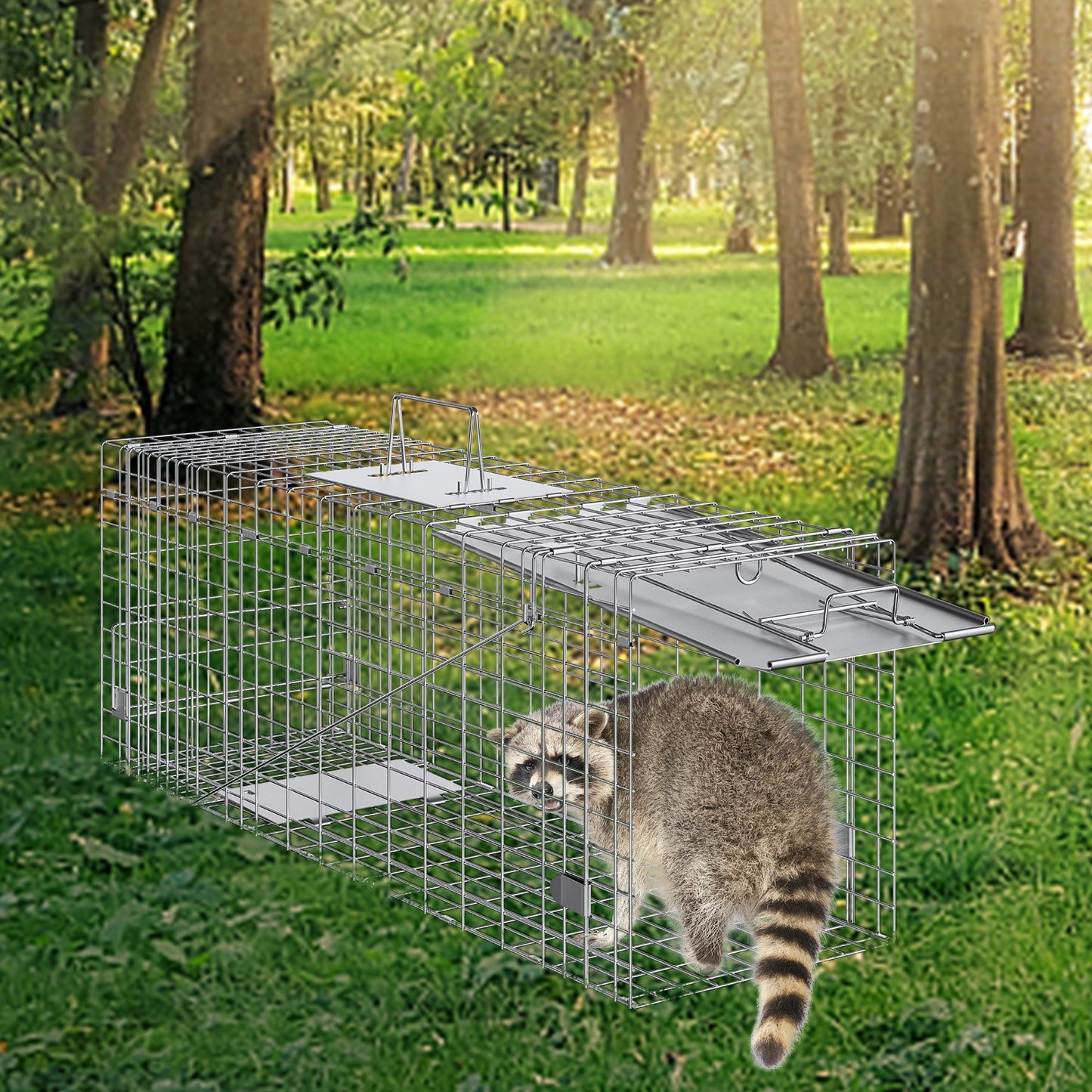 Humane Animal Cage Trap 31x10x12 Inches for Cats Raccoons Rabbits Squirrels