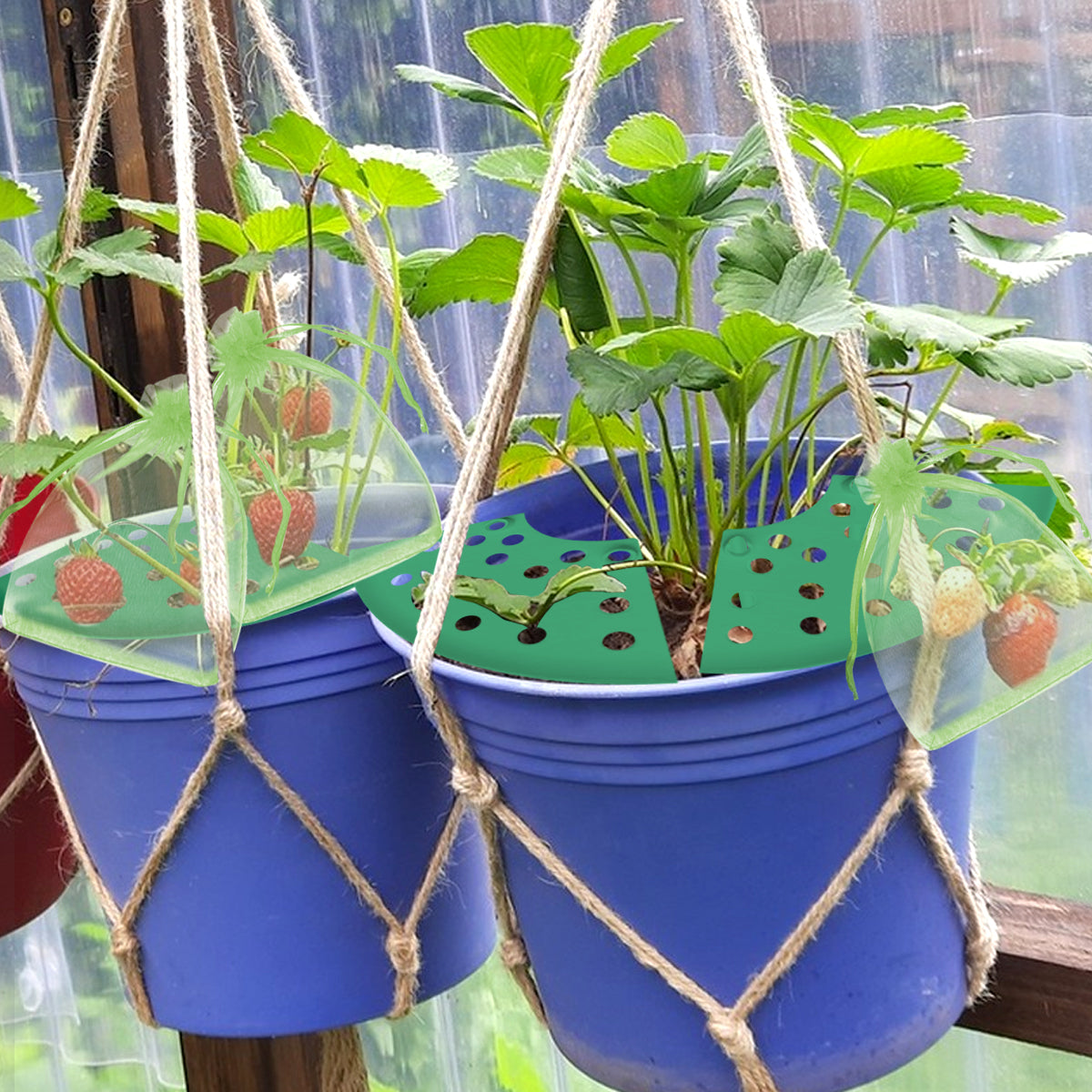 8 Pack Strawberry Plant Supports with Bags Garden Supports Green
