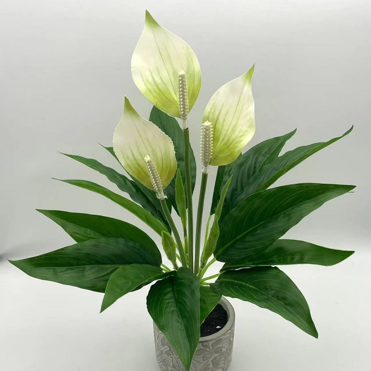 Artificial Green Plant Potted Flowers with Black Basin - Realistic Faux Flora