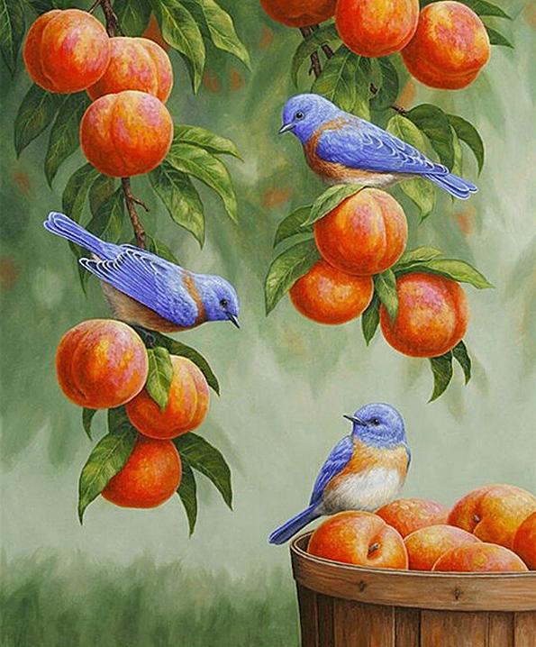 DIY Diamond Painting Cross Stitch Kit - Animal Bird Mosaic Art