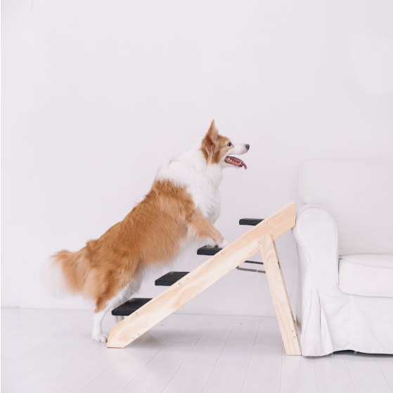 Foldable Wooden Pet Stairs & Ramps for Dogs & Cats - Acacia Wood, 4 Levels