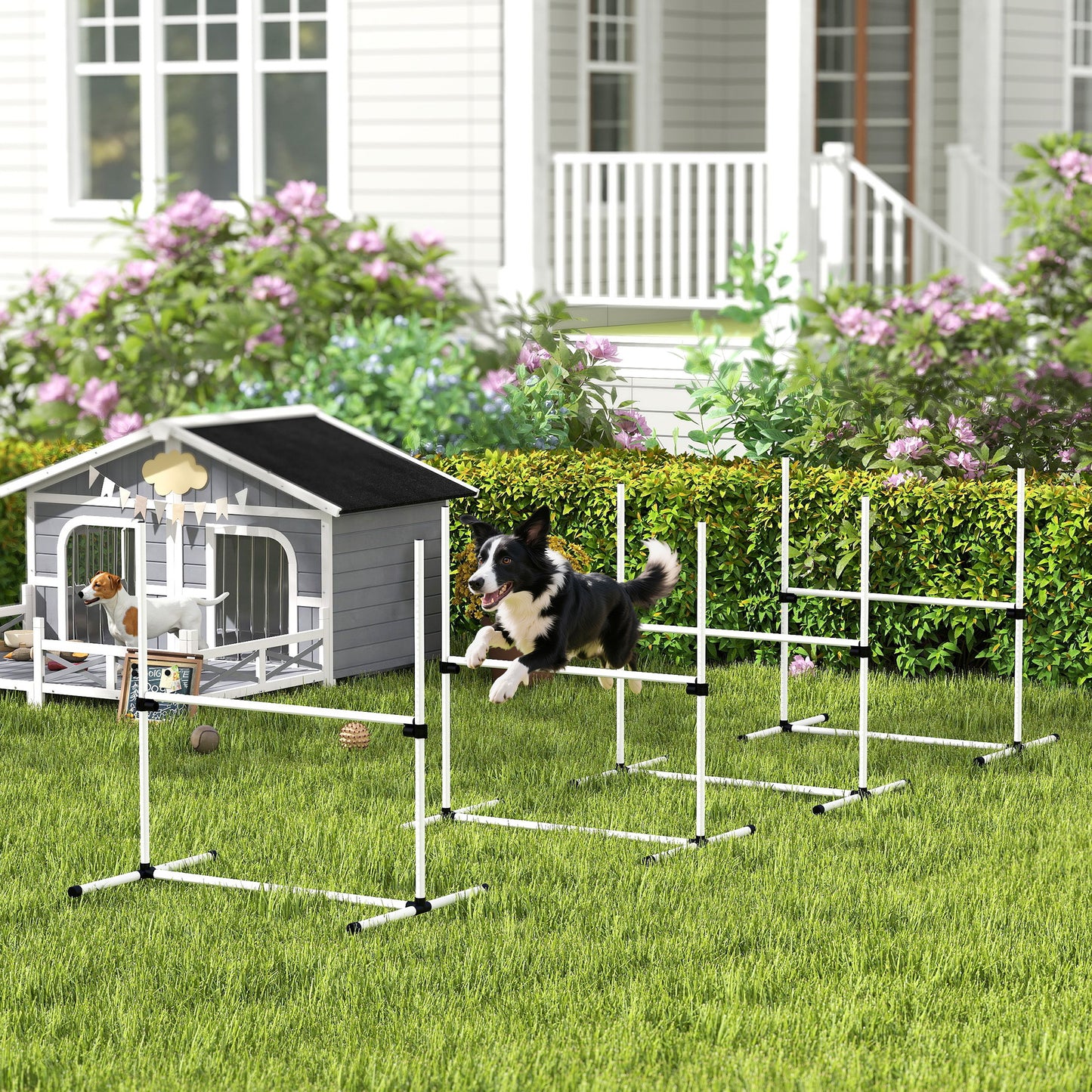 Dog Agility Training Equipment Set with Adjustable Height Jumps & Carry Bag