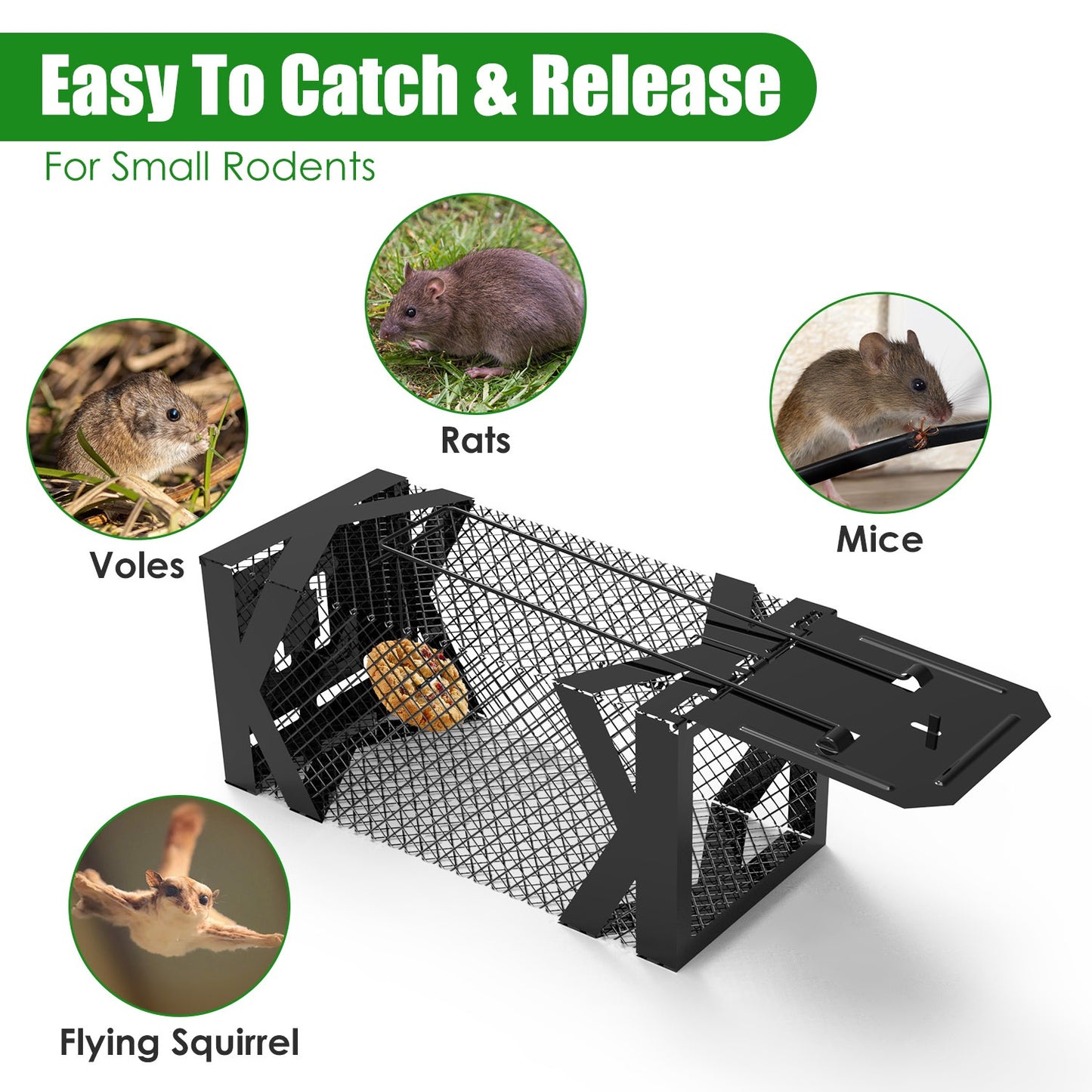 Humane Live Mouse Trap Cage - 2 Pcs Reusable Rodent Traps