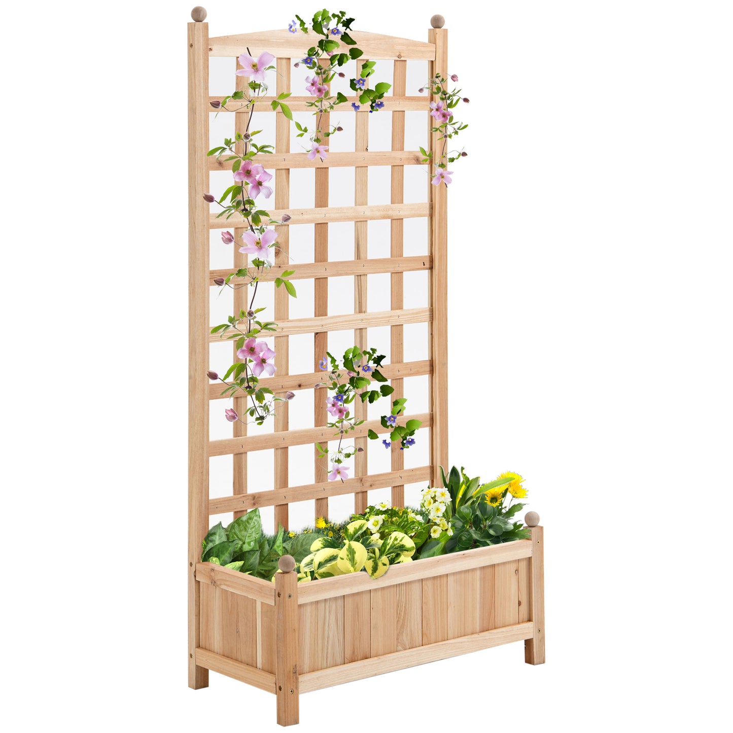 Wooden Raised Garden Bed with Trellis - Outdoor Planter Box for Climbing Vines and Flowers, 24 x 12 x 49 Inches