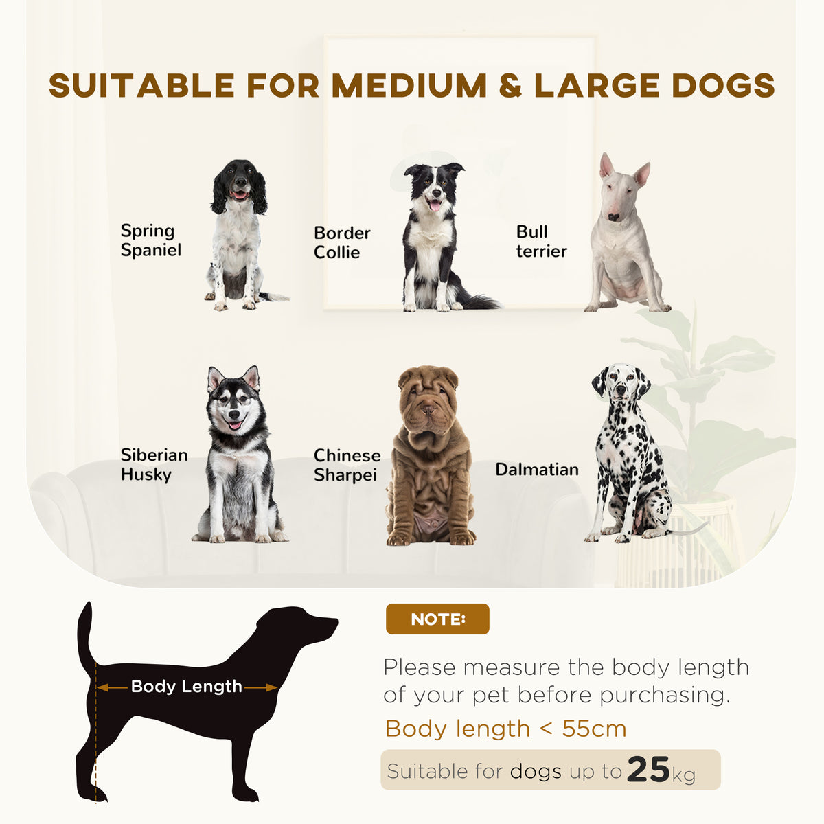 Pet Sofa Bed with Cushion & Wooden Legs - Medium & Large Dogs Charcoal Gray