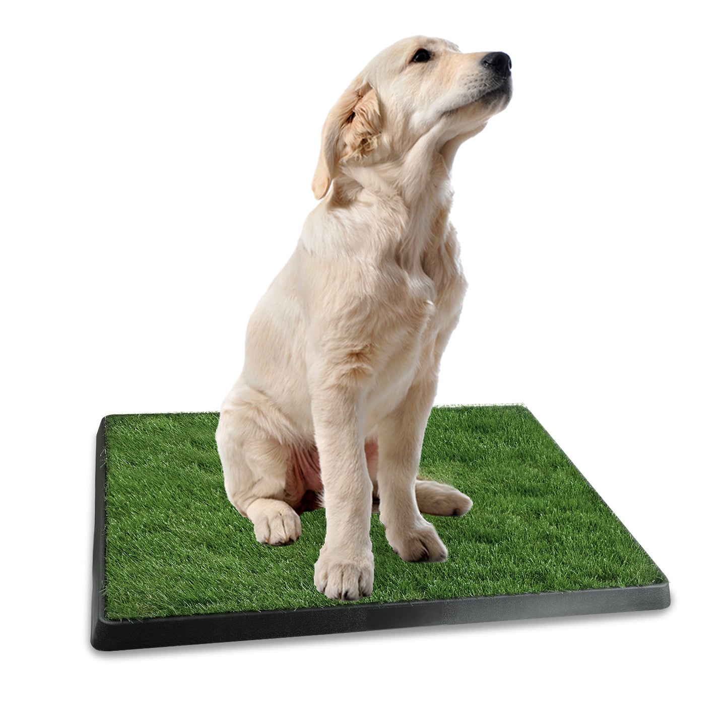 Artificial Grass Dog Potty Pad for Indoor & Outdoor Training - Small & Medium Pets