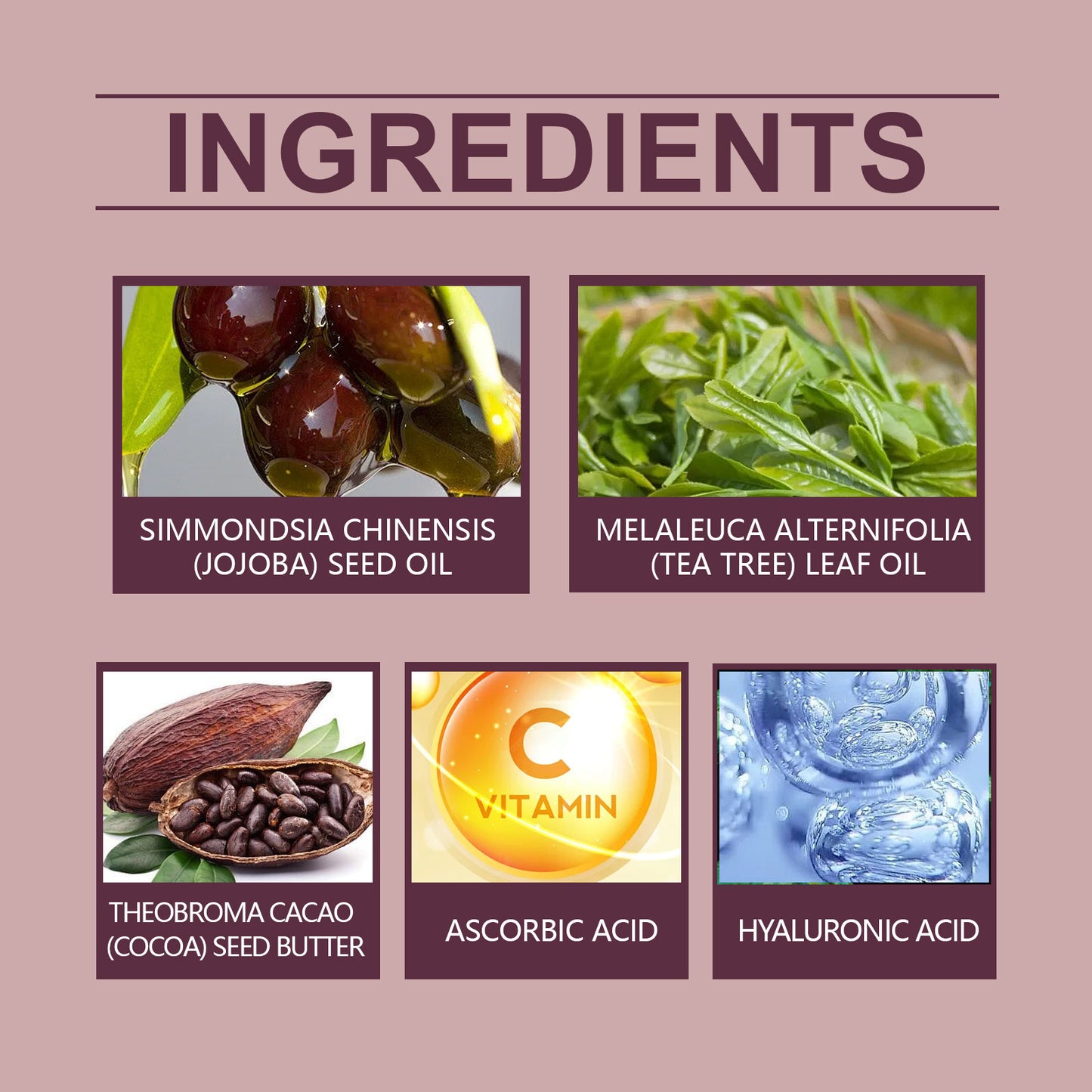 Cocoa Body Oil - Hydrating & Firming Skin Care Treatment - 100ml
