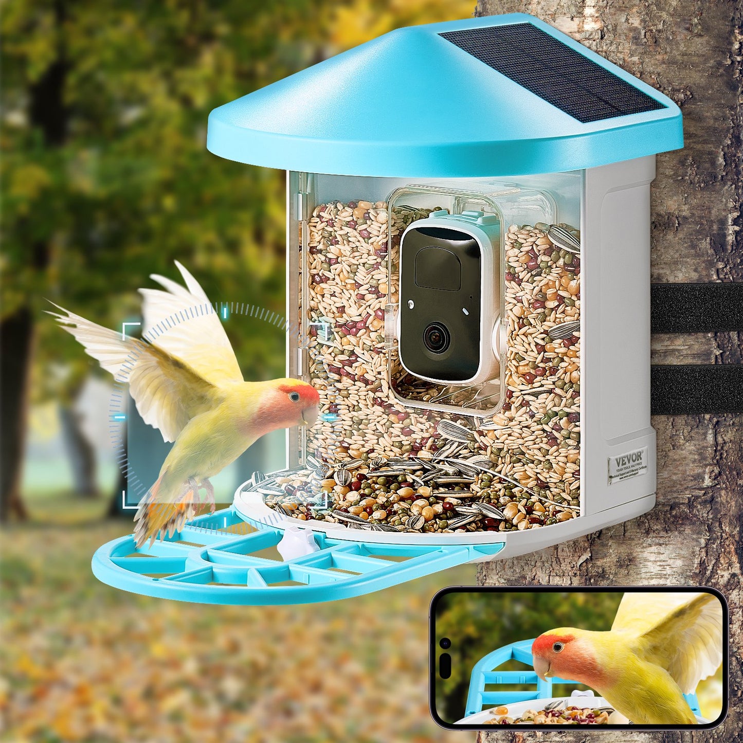 Smart Bird Feeder with Camera AI Identification 10,000+ Bird Species Solar Powered