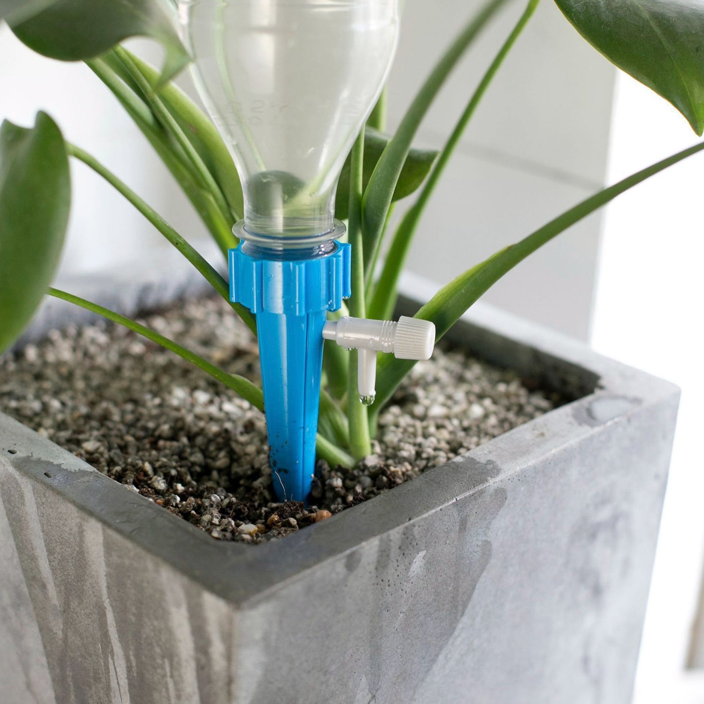 Self Watering Plant Spikes Set - Automatic Drip Irrigation for Indoor & Outdoor Plants