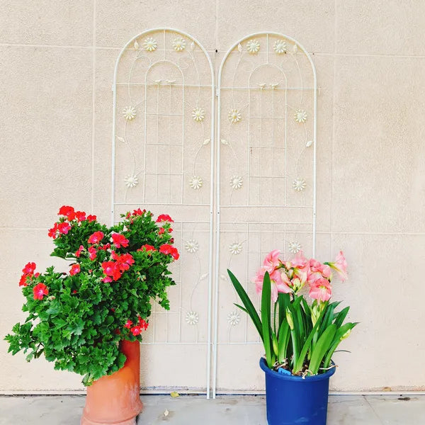 Metal Garden Trellis - 71" x 19.7" Rustproof Support for Climbing Plants