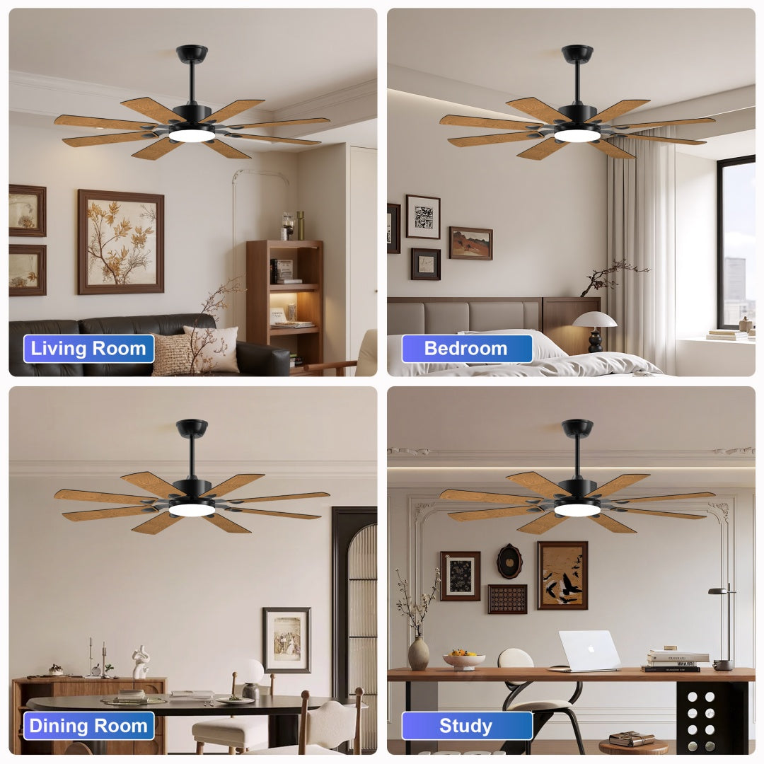 52-Inch Ceiling Fan with Lights and Remote, Reversible DC Motor, 8 Blades, Black