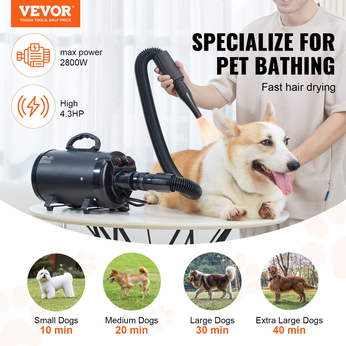 2800W Dog Dryer Pet Grooming Hair Blower with Nozzles & Adjustable Speed