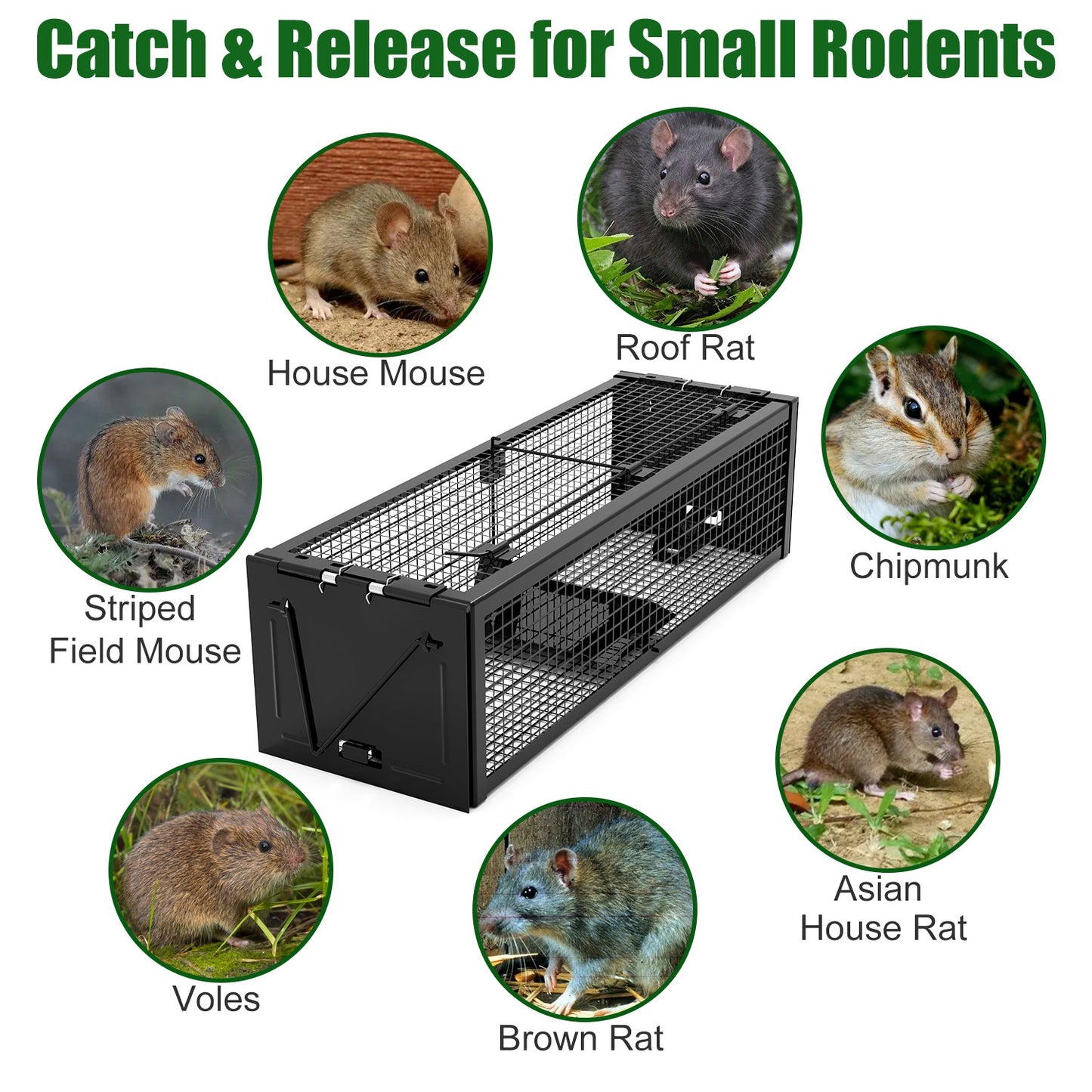 Humane Live Rat Trap - 2-Door Heavy-Duty Galvanized Iron Cage