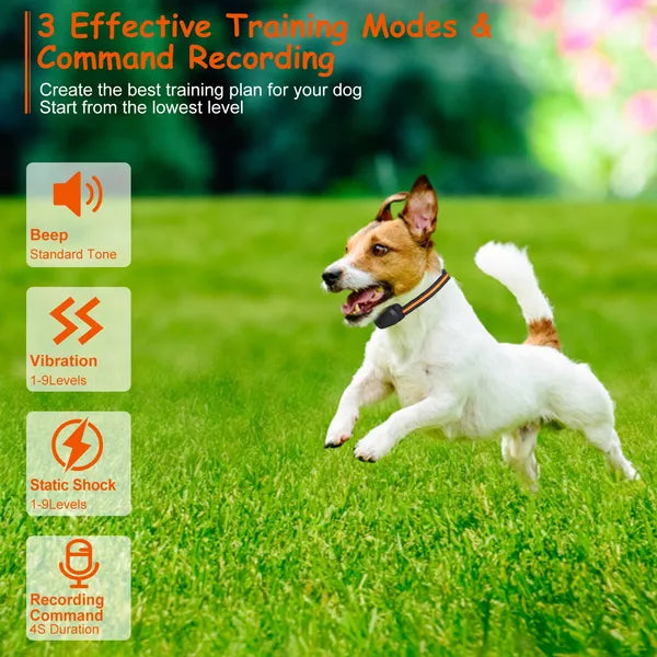 Dog Training Collar Waterproof Vibration Electric Shock Beep Trainer - Black
