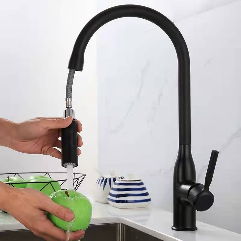 Copper Kitchen Faucet with Pull-Out Spout Double Water Outlet Rotatable