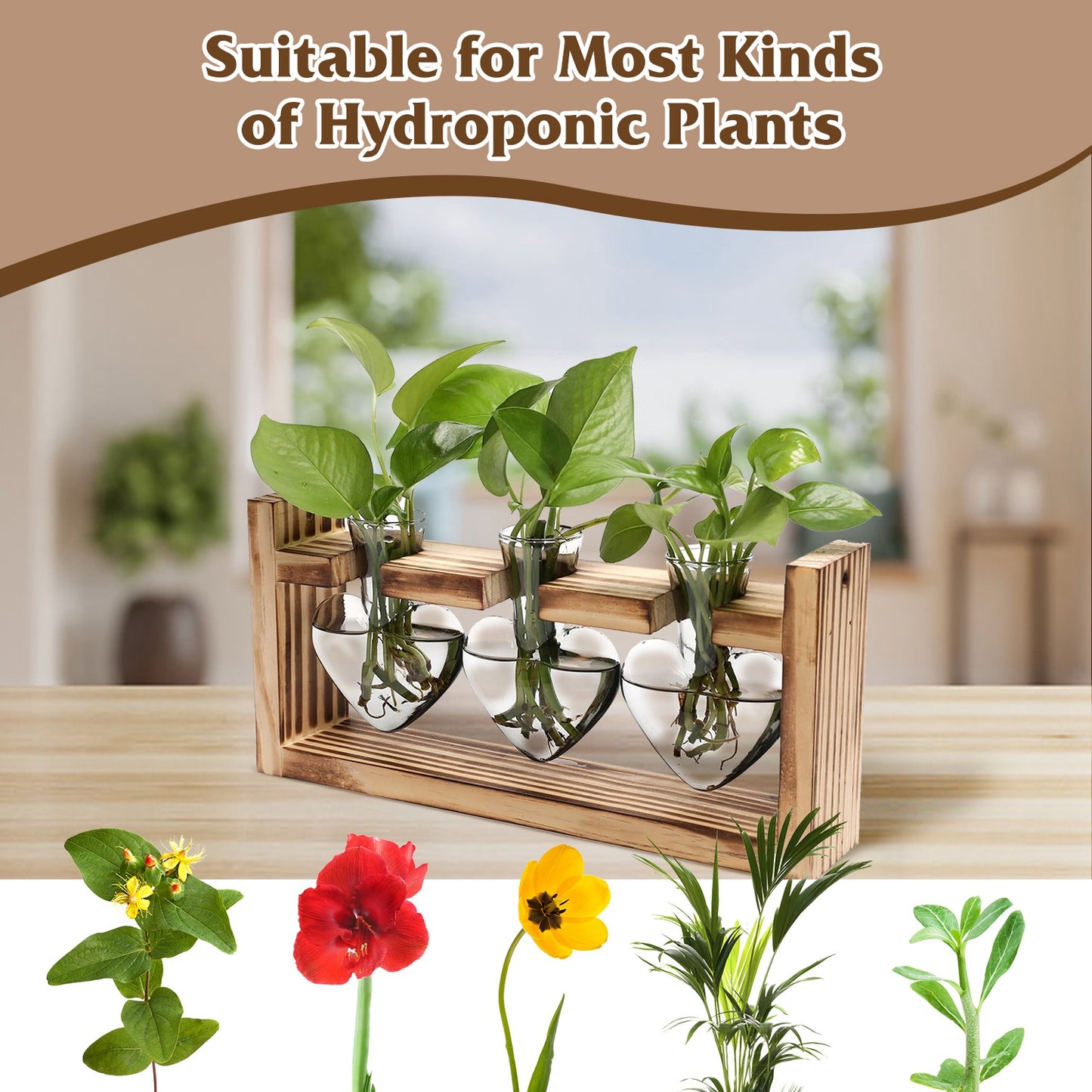 Heart-Shaped Plant Propagation Station with Wooden Stand