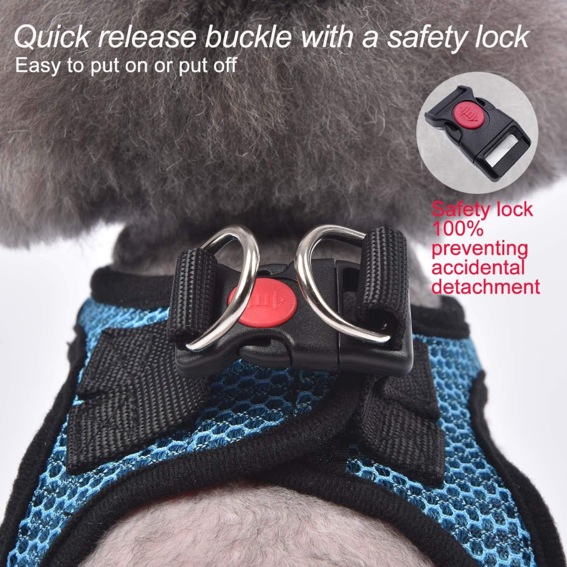 Breathable Dog & Cat Vest Harness with Leash - Small Medium Pets, Blue