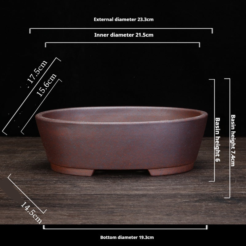 Indoor Decorative Porcelain Plant Pot with Purple Sand for Home & Office