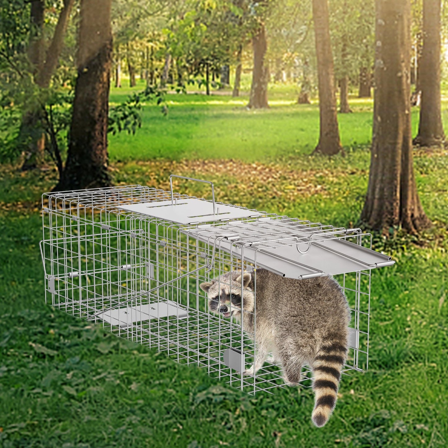 24-Inch Humane Animal Cage Trap for Raccoons, Cats, Rabbits, Squirrels