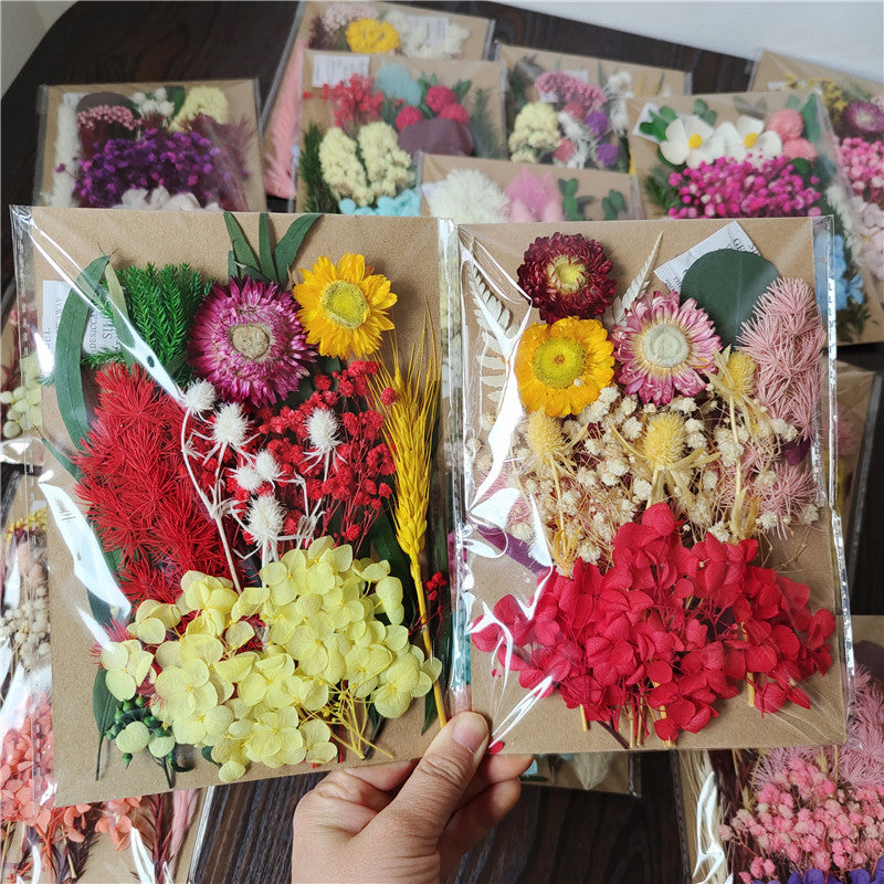 Dried Flower Material Pack for Candle & Photo Frame Decoration - Multiple Styles