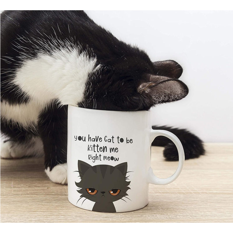 Funny Cat Lovers Coffee Mug - 325ml Ceramic Cup