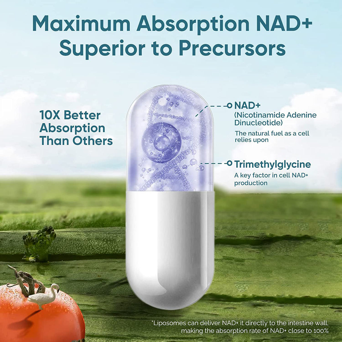 NAD Capsules for Adults