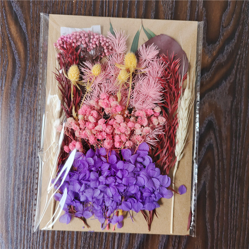 Dried Flower Material Pack for Candle & Photo Frame Decoration - Multiple Styles