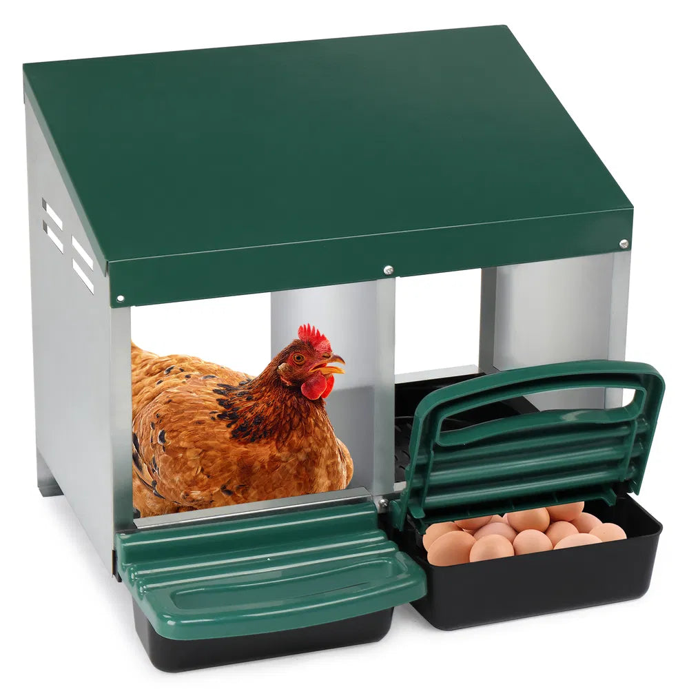 2-Compartment Chicken Nesting Box with Plastic Egg Tray - Green